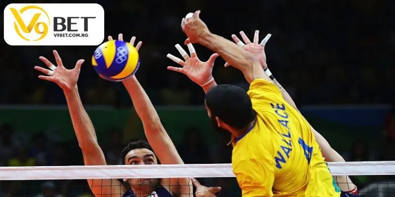 cá cược bóng chuyền