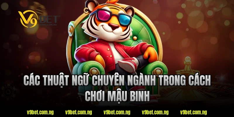 Các thuật ngữ chuyên ngành trong cách chơi mậu binh