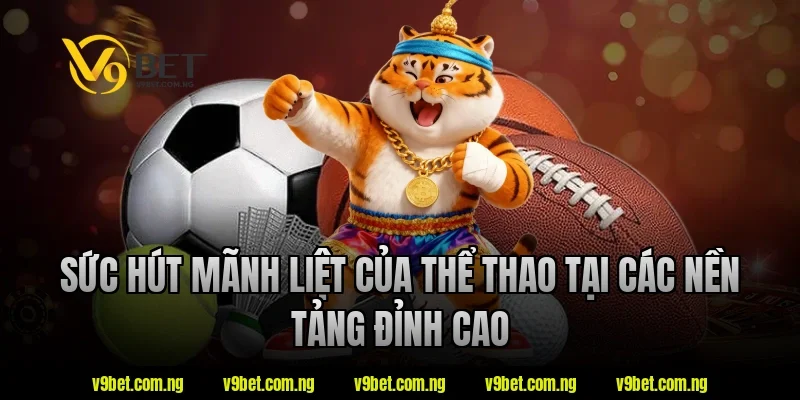 Sức hút mãnh liệt của thể thao tại các nền tảng đỉnh cao